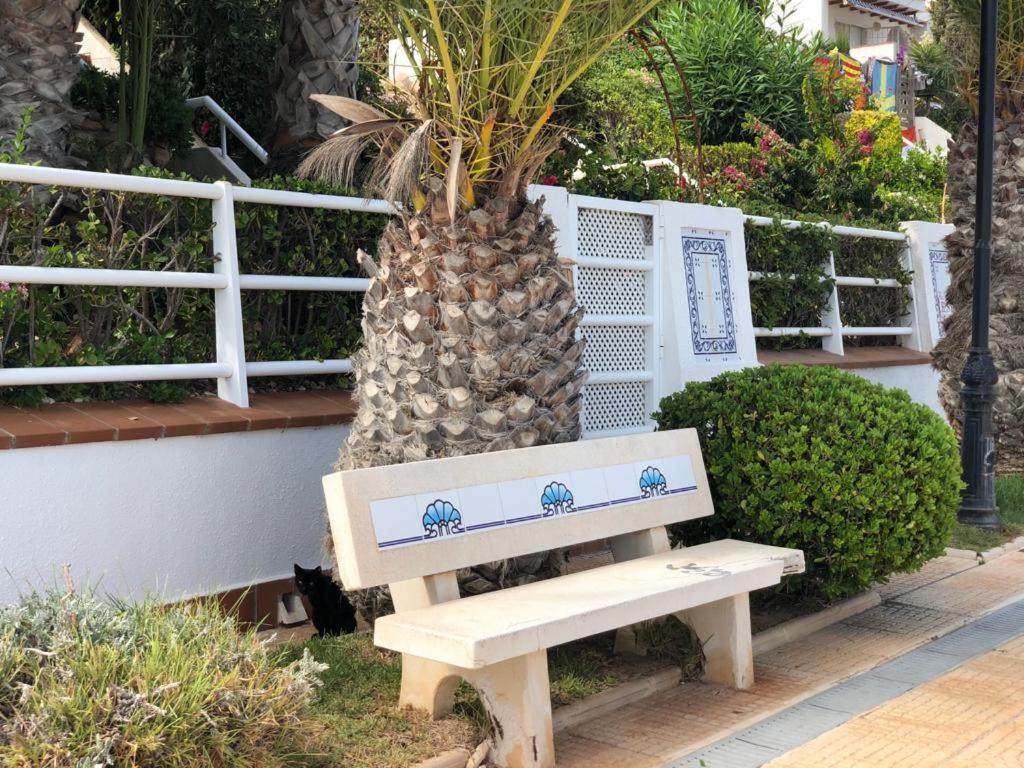 Apartamento Dom Amaia Oriola  Exterior foto